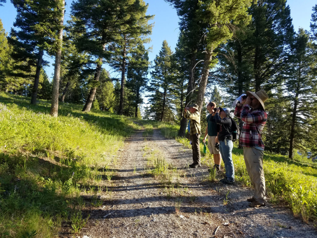 Taft Nicholson class in Montana, 2019