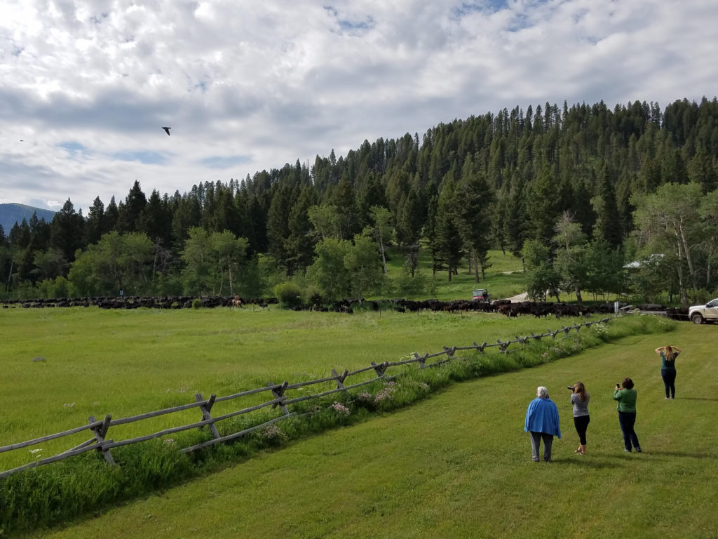 Taft Nicholson class in Montana, 2019