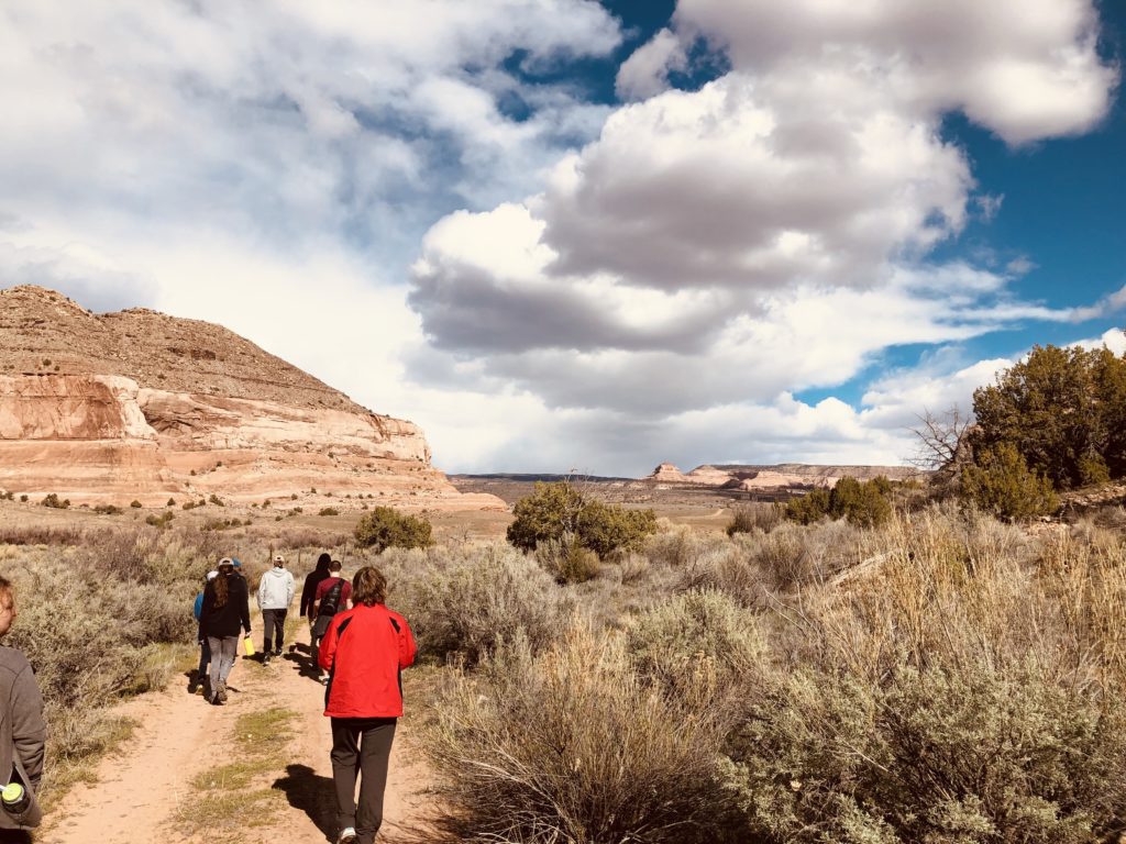 Honors Class Trip to Bonderman Field Station at Rio Mesa